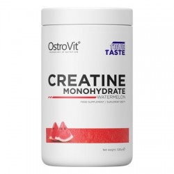 OSTROVIT CREATINE - 500 g