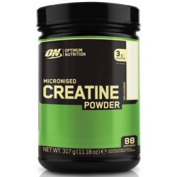 ON Creatine Powder - 600g